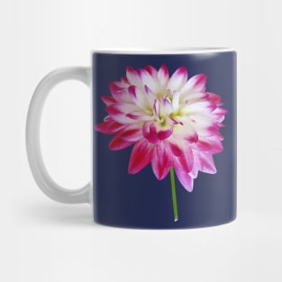 Dahlia Edged in Pink Mug